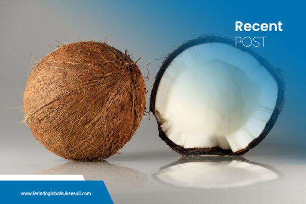 Wholesale-Coconut-Oil-Supplier-for-Global-Industries